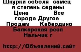 Шкурки соболя (самец) 1-я степень седены › Цена ­ 12 000 - Все города Другое » Продам   . Кабардино-Балкарская респ.,Нальчик г.